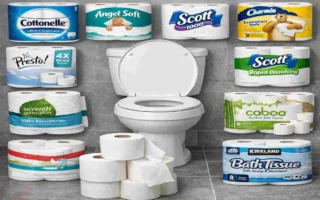 what is the best toilet paper for house plumbing