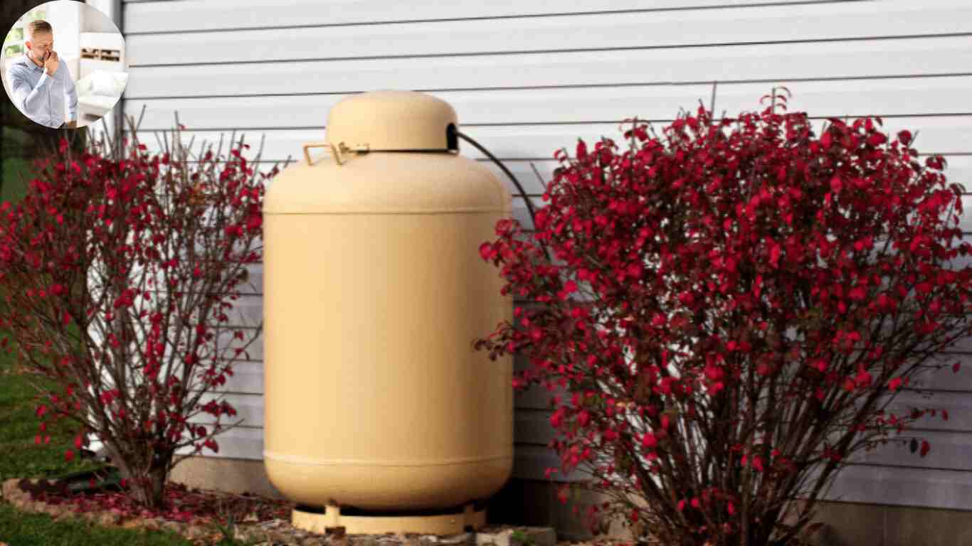 what does propane smell like in a house