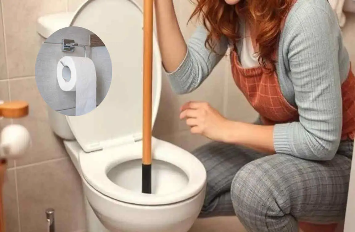 what is the best toilet paper for house plumbing
