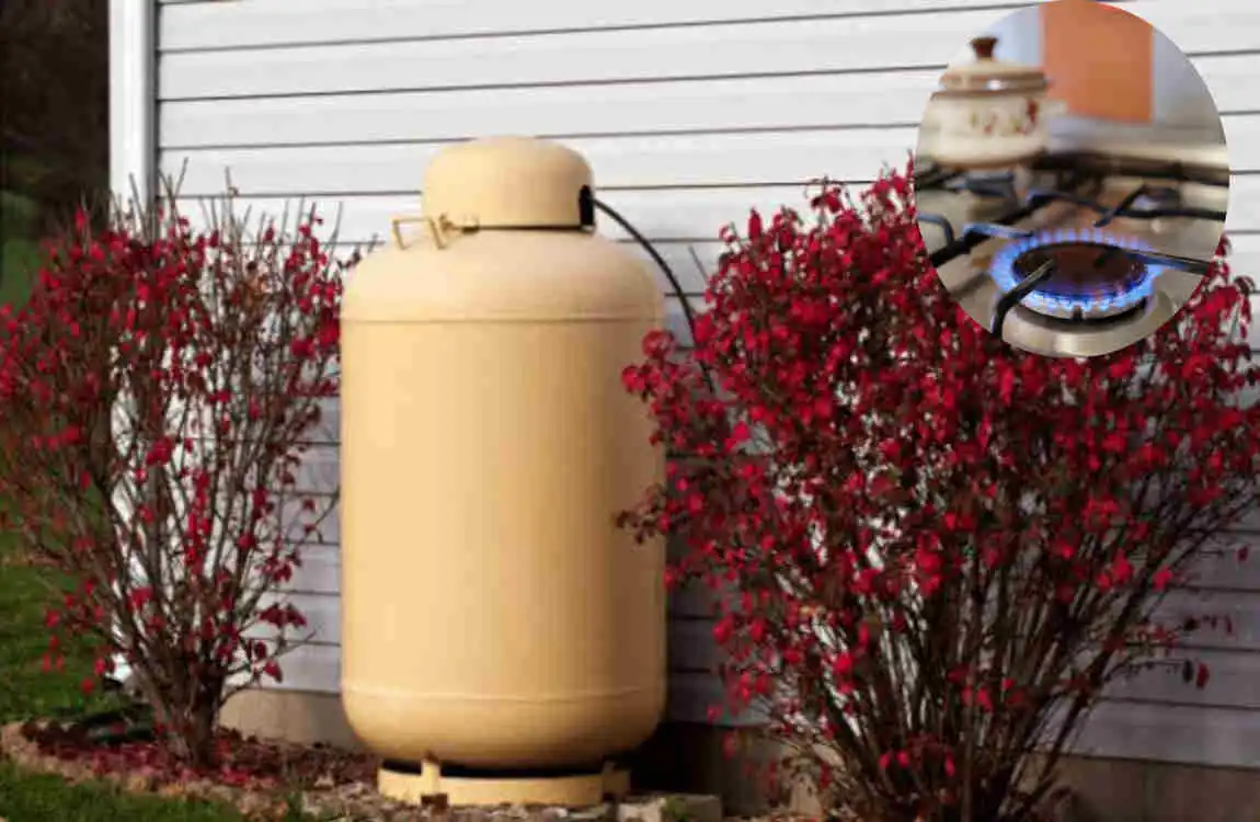 What Does Propane Smell Like in a House?