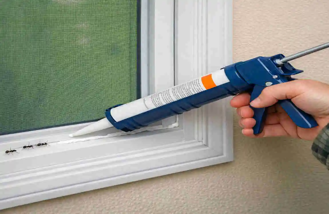 does bleach kill ants in house