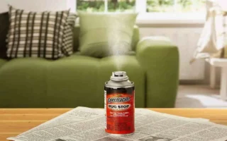 how long does it take to bug bomb a house
