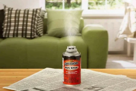 how long does it take to bug bomb a house