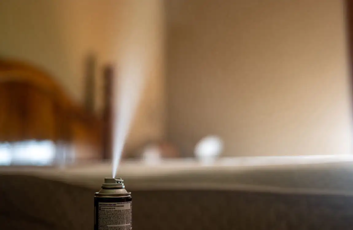 how long does it take to bug bomb a house