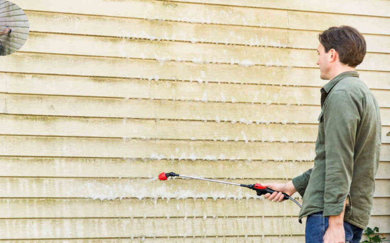 how to remove mold from house siding