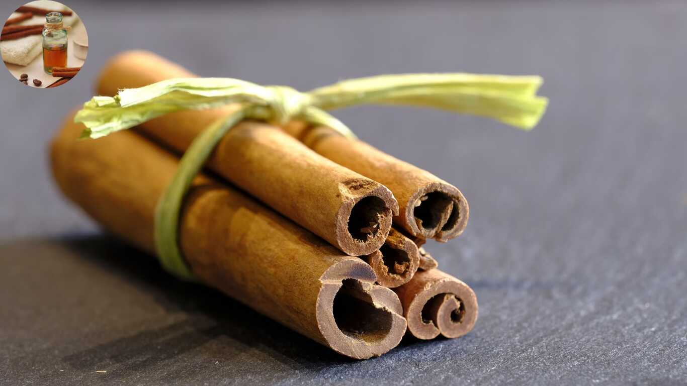 why does my house smell like cinnamon