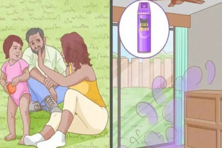 how long does it take to bug bomb a house