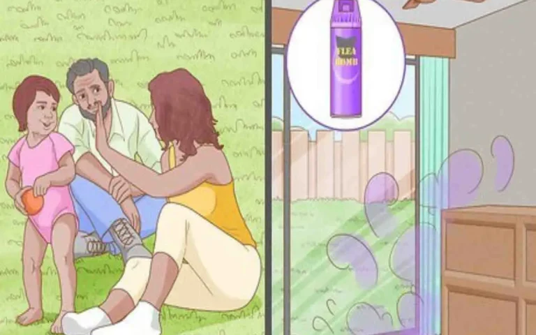 how long does it take to bug bomb a house