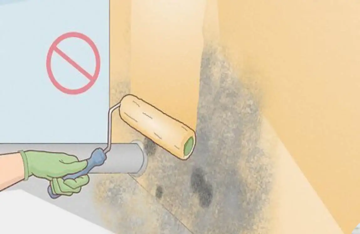 how to remove mold from house siding
