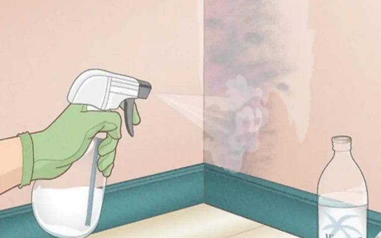 how to remove mold from house siding