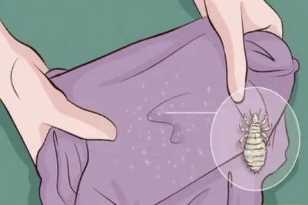 how to clean house for lice