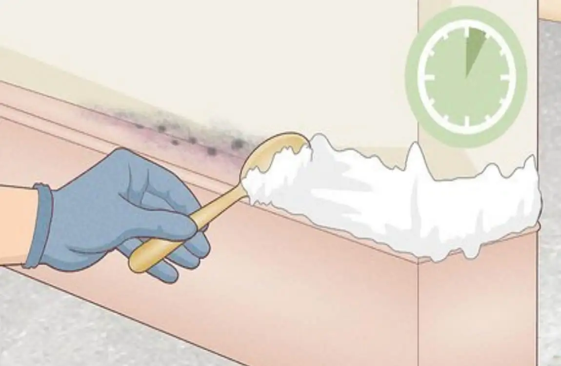 how to remove mold from house siding