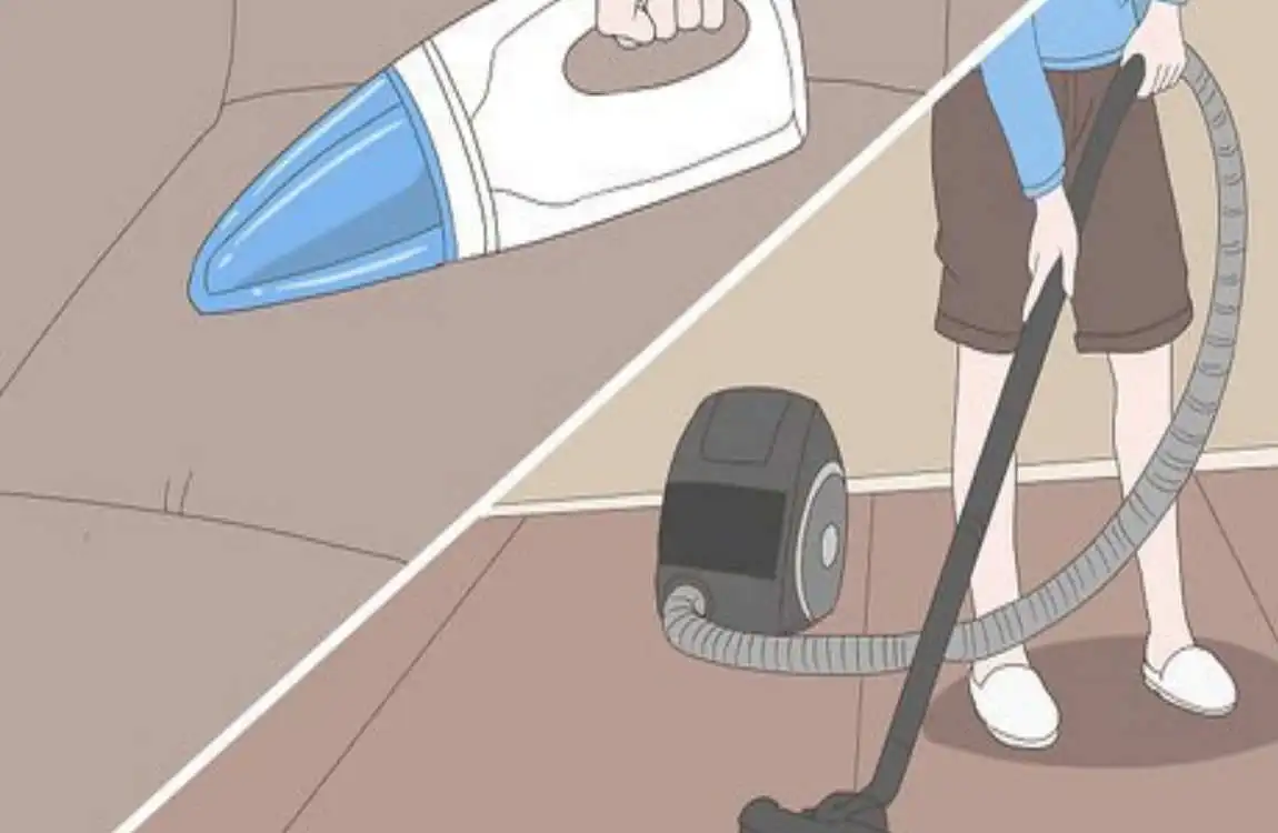 how to clean house for lice