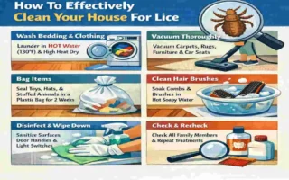how to clean house for lice
