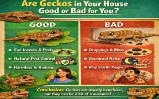 bad