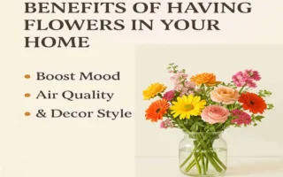 Discover the Surprising Benefits of Having Flowers in Your Home: Boost Mood, Air Quality & Decor Style