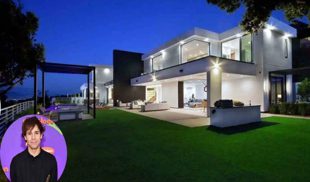 David Dobrik's House
