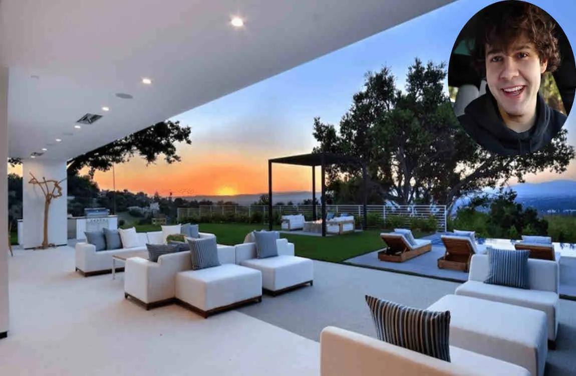 David Dobrik's House