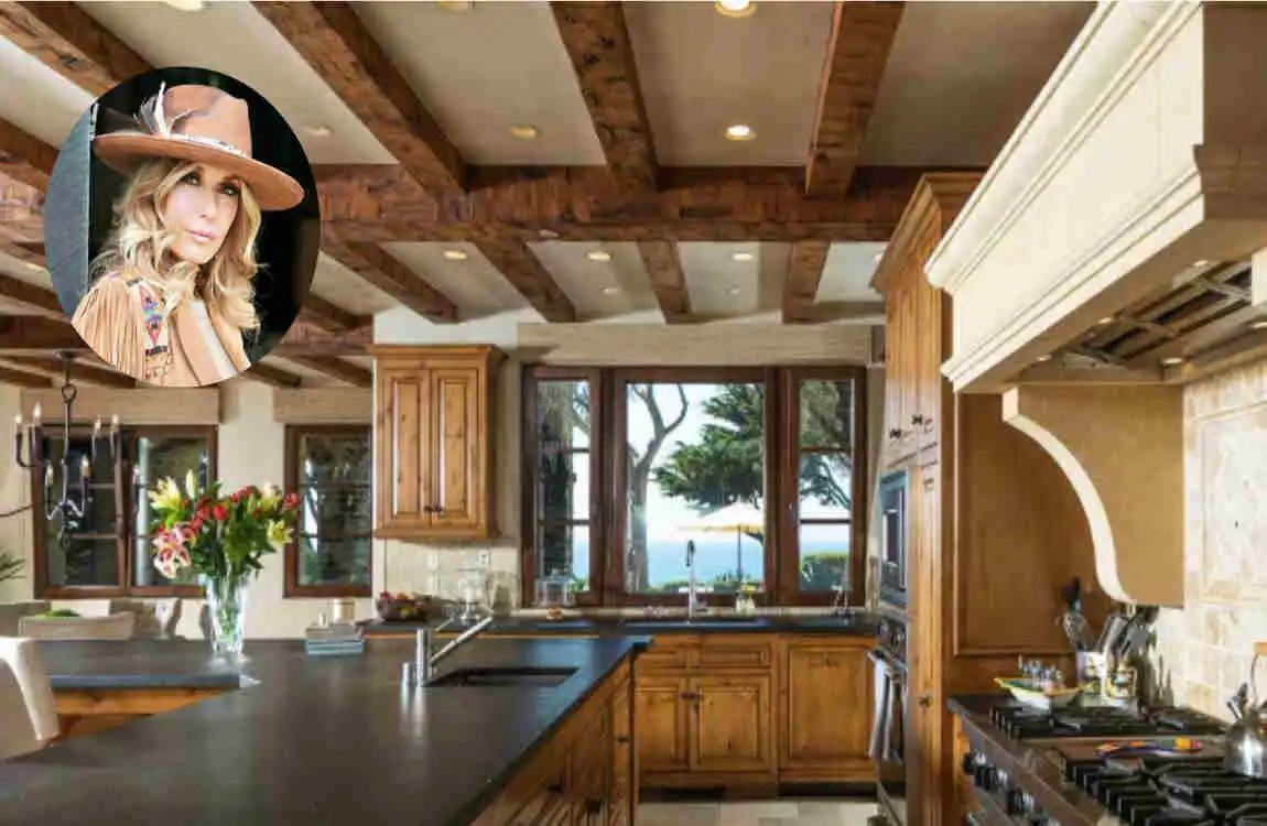 Tracey Bregman House Photos