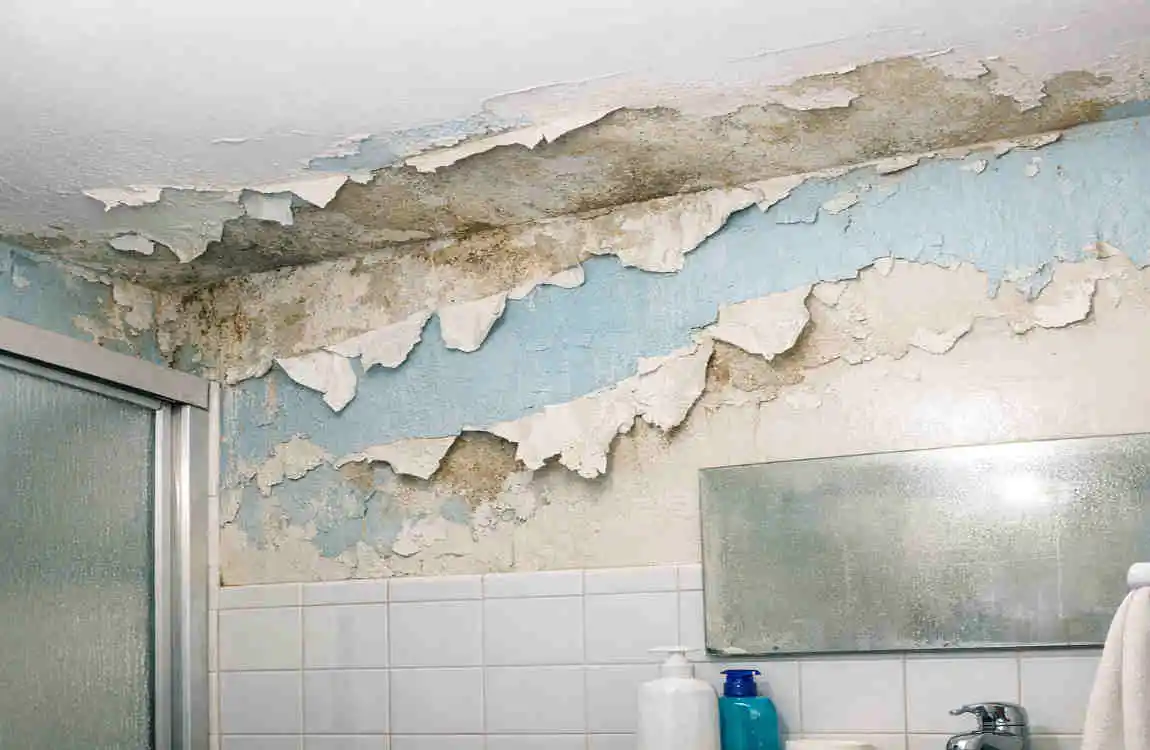 why is the paint in my bathroom peeling