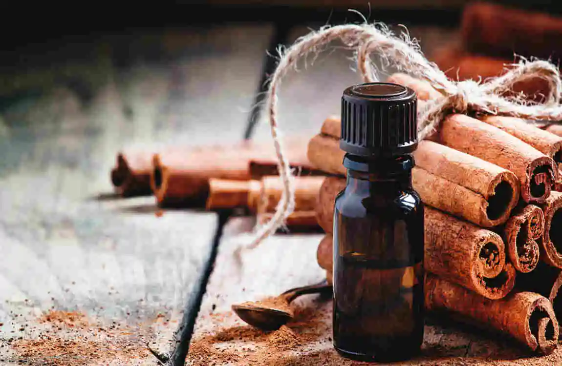 how to make house smell like cinnamon