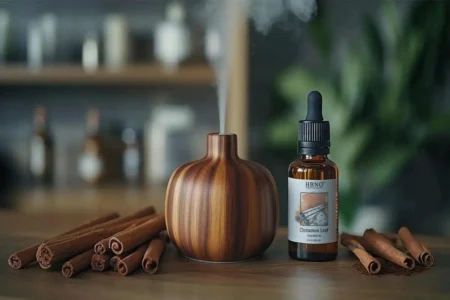 how to make house smell like cinnamon