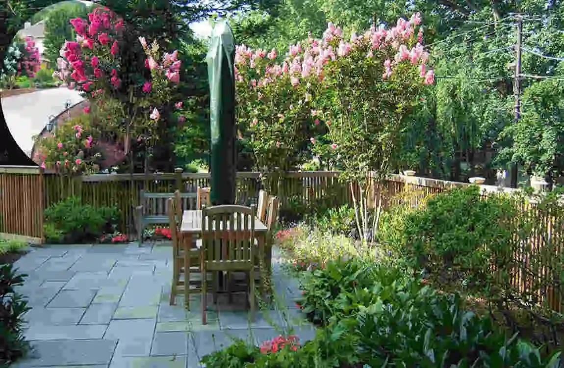 how far to plant crepe myrtle from house