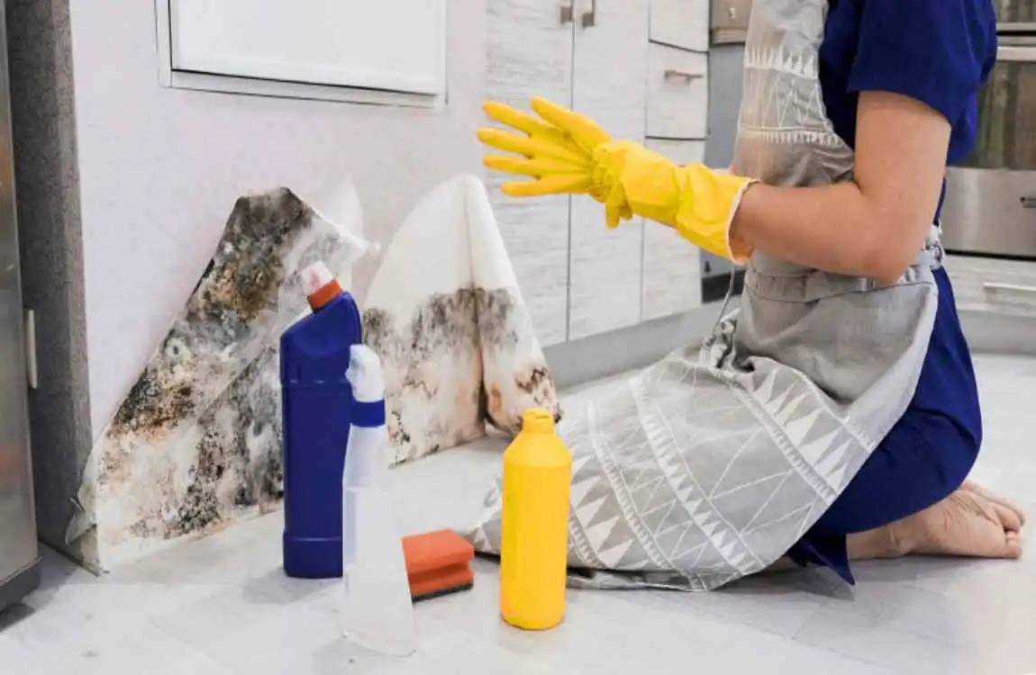 Effective Methods to Get Rid of Damp in House: Ultimate 2025 Guide to Prevent Moisture and Mold