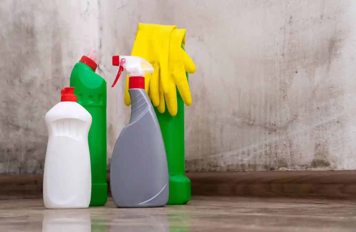 Effective Methods to Get Rid of Damp in House: Ultimate 2025 Guide to Prevent Moisture and Mold