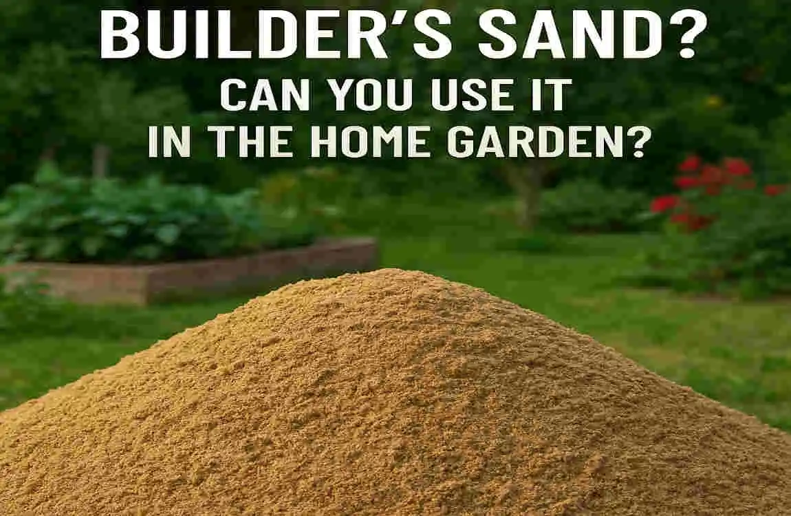 Can You Use Builders Sand in Your Home Garden? Benefits, Tips, and Best Practices for Healthier Soil and Plants