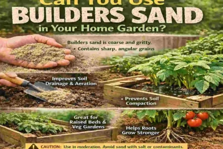 can you use builders sand in the home garden