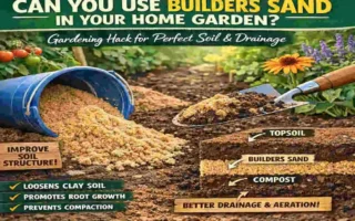 can you use builders sand in the home garden