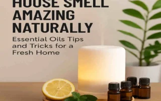 How to Make Your House Smell Amazing Naturally: Essential Oils Tips and Tricks for a Fresh Home