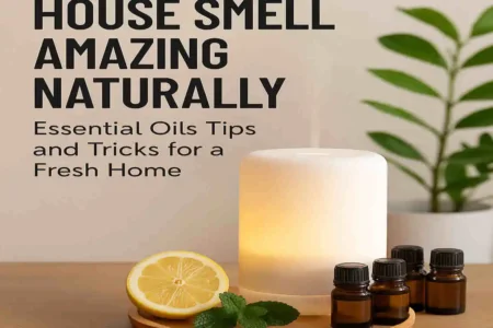 How to Make Your House Smell Amazing Naturally: Essential Oils Tips and Tricks for a Fresh Home