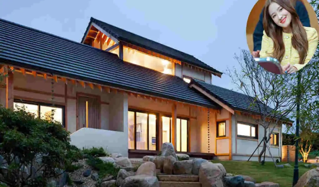 Nancy Momoland House