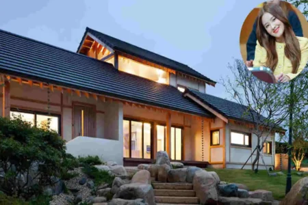 Nancy Momoland House