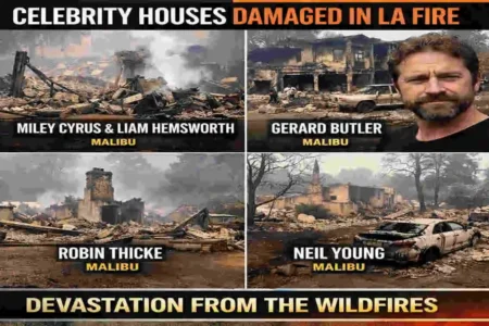 celebrity houses burned in los angeles fire