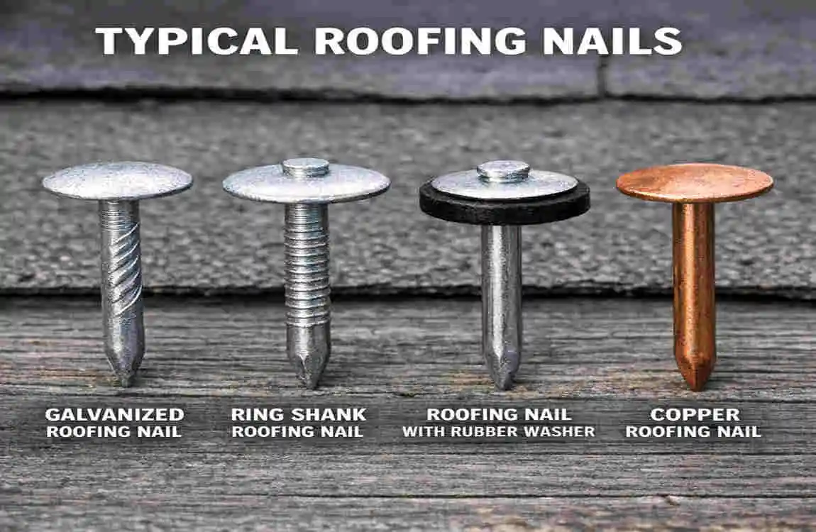 What Type of Nails Are Typically Used for Roofing?
