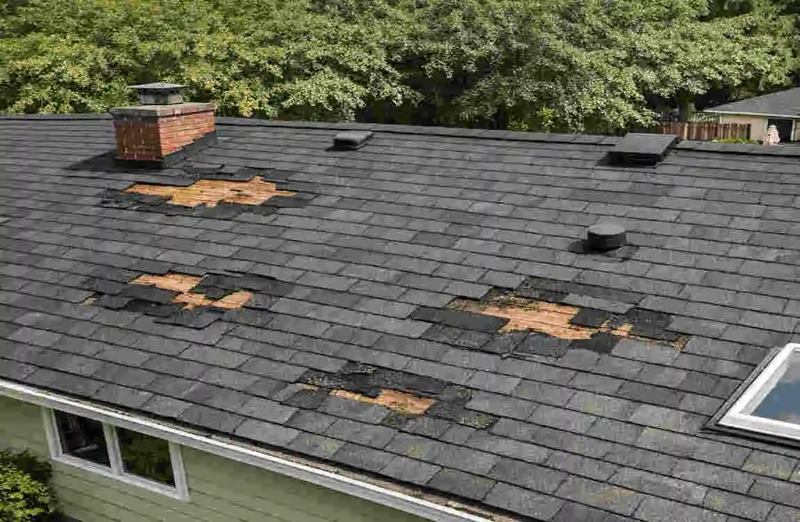  Roof Damage in Your Home