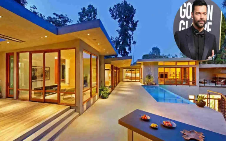 Enrique Martin Morales House photos