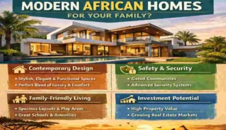 Modern African Homes