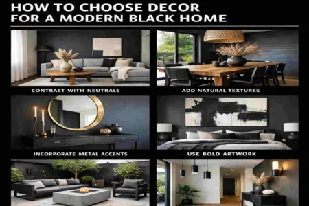 Modern Black Home