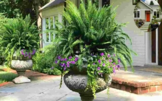 front house planters