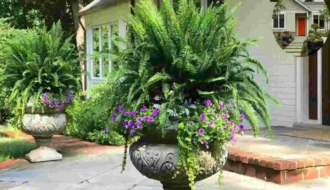 front house planters
