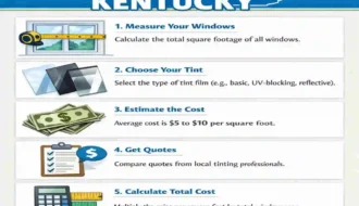 cost to tint house windows kentucky