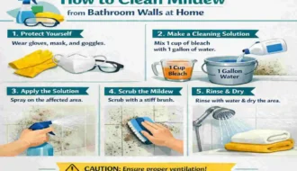 how to get mildew off walls in bathroom